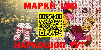 индика Обнинск