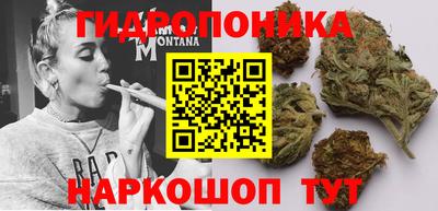 индика Обнинск
