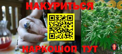 индика Обнинск