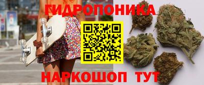 хмурый Обь