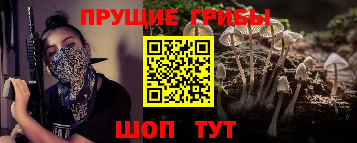 Псилоцибиновые грибы прущие грибы Сорочинск